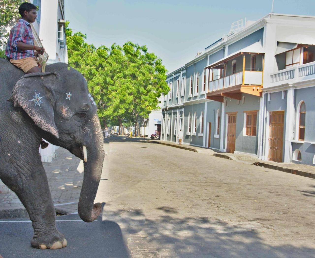Patricia Guest House Puducherry Eksteriør billede