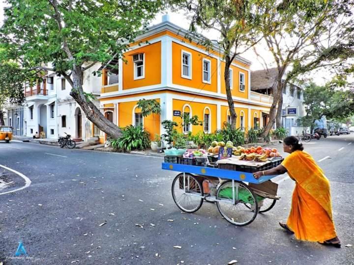 Patricia Guest House Puducherry Eksteriør billede